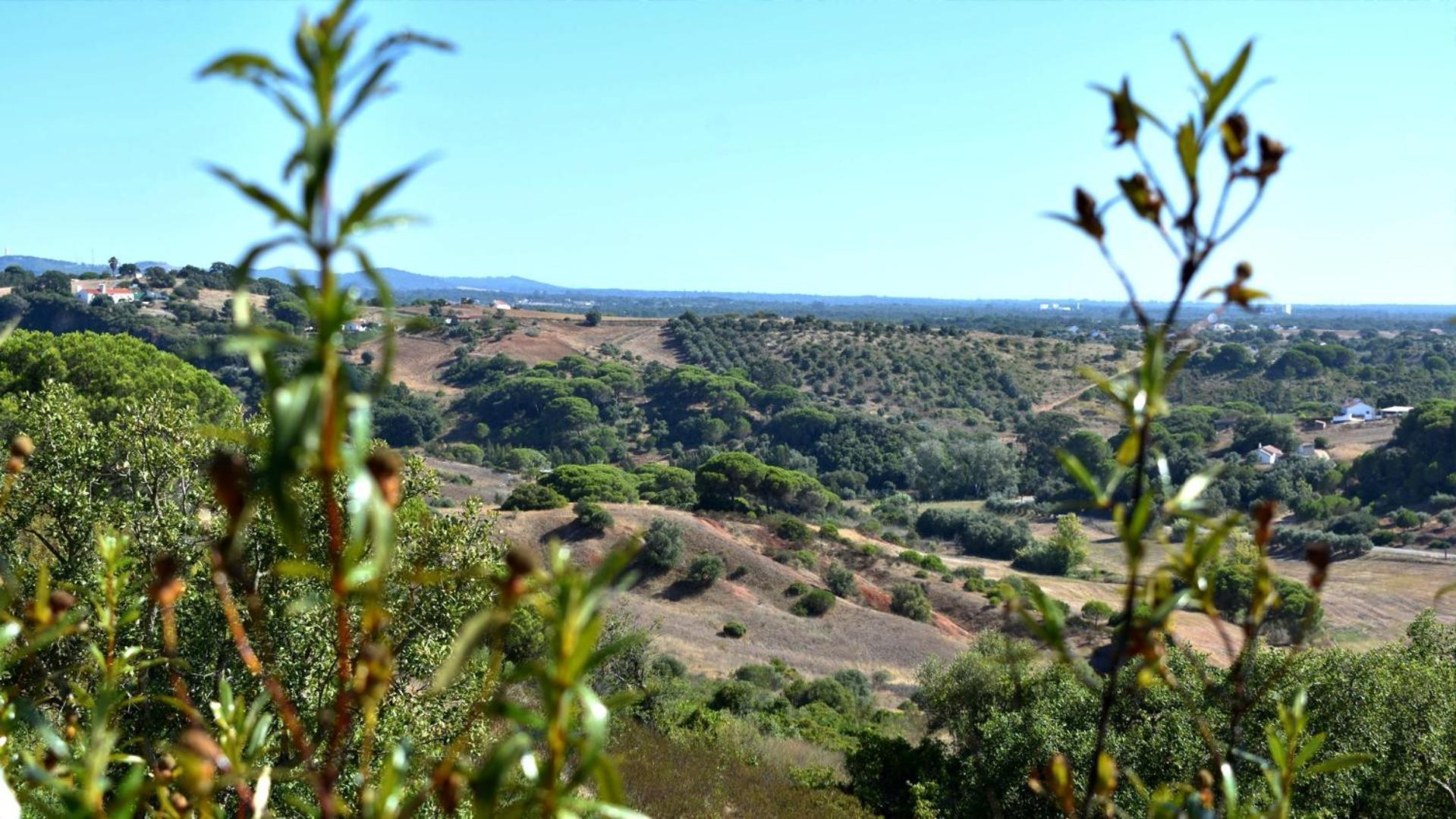 Monte Sardinha Pensionat Santiago do Cacém Eksteriør billede