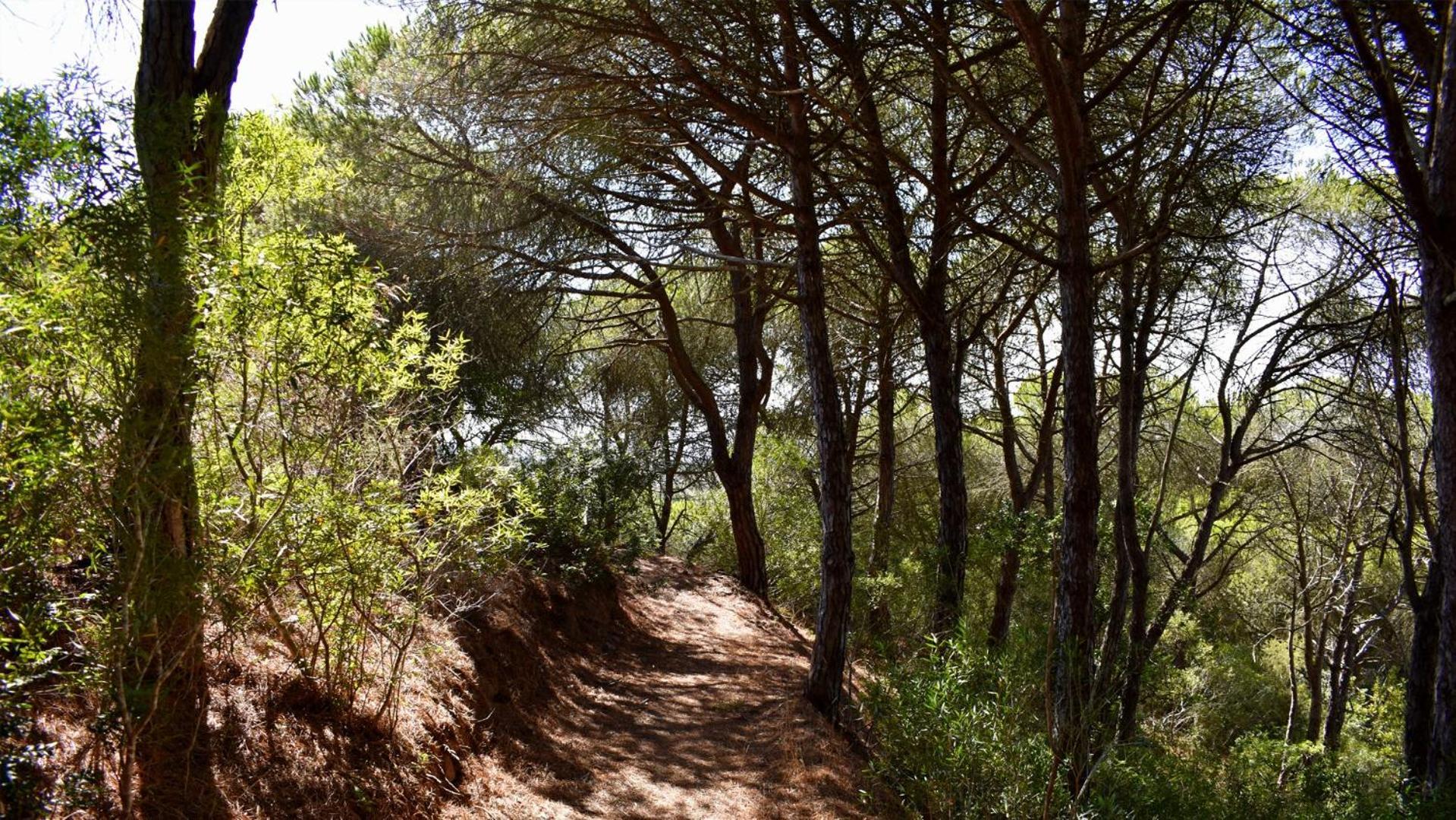 Monte Sardinha Pensionat Santiago do Cacém Eksteriør billede